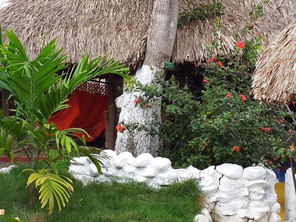Hostel Cattleya Palomino Dış mekan fotoğraf