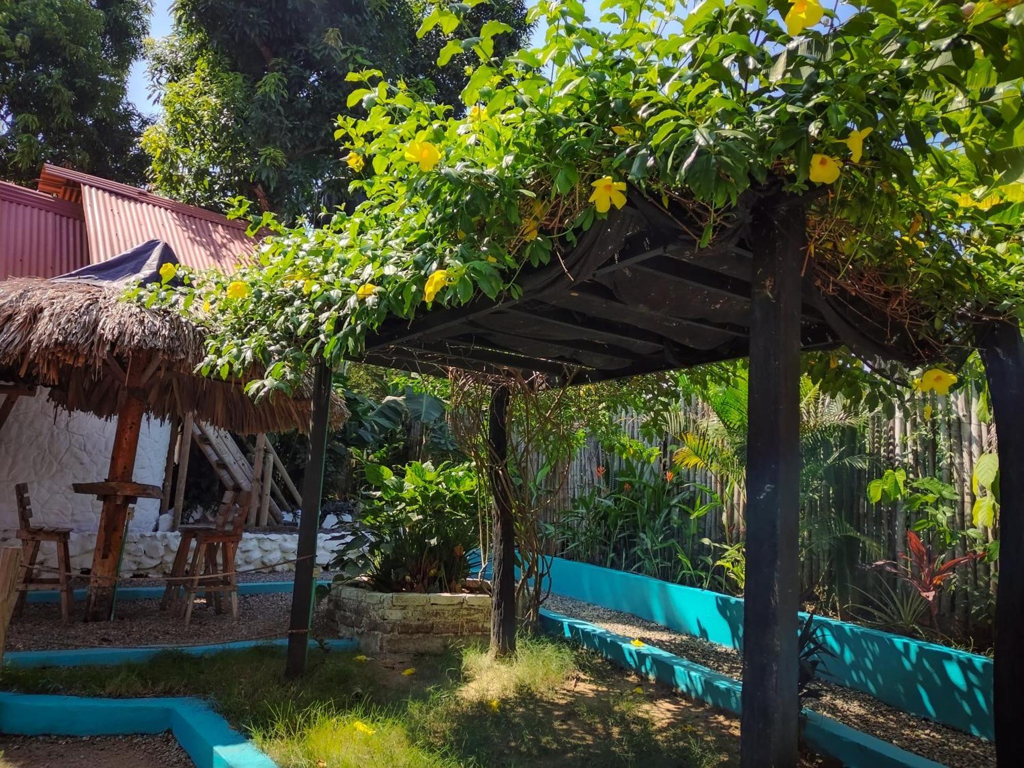 Hostel Cattleya Palomino Dış mekan fotoğraf