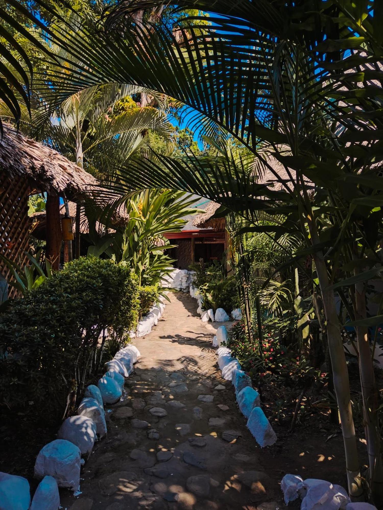 Hostel Cattleya Palomino Dış mekan fotoğraf