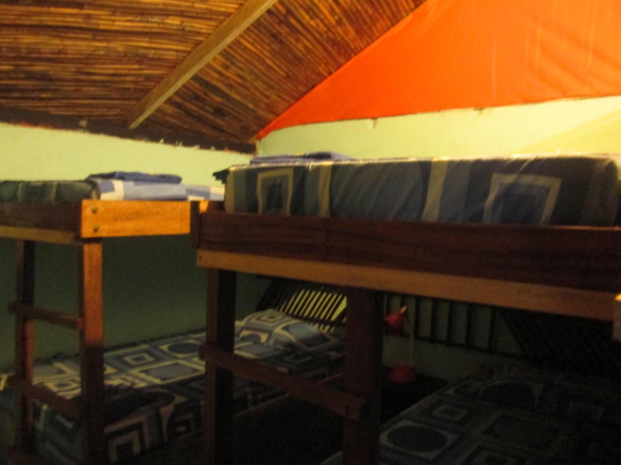Hostel Cattleya Palomino Dış mekan fotoğraf